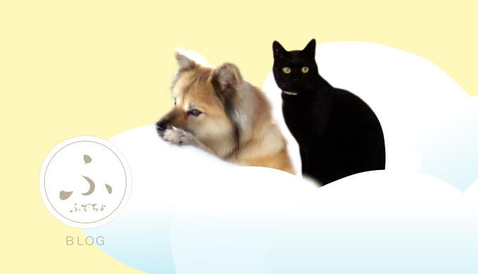 筆文字やイラスト無料素材帳ふでちょのアイドルの犬と猫が雲に乗っている画像